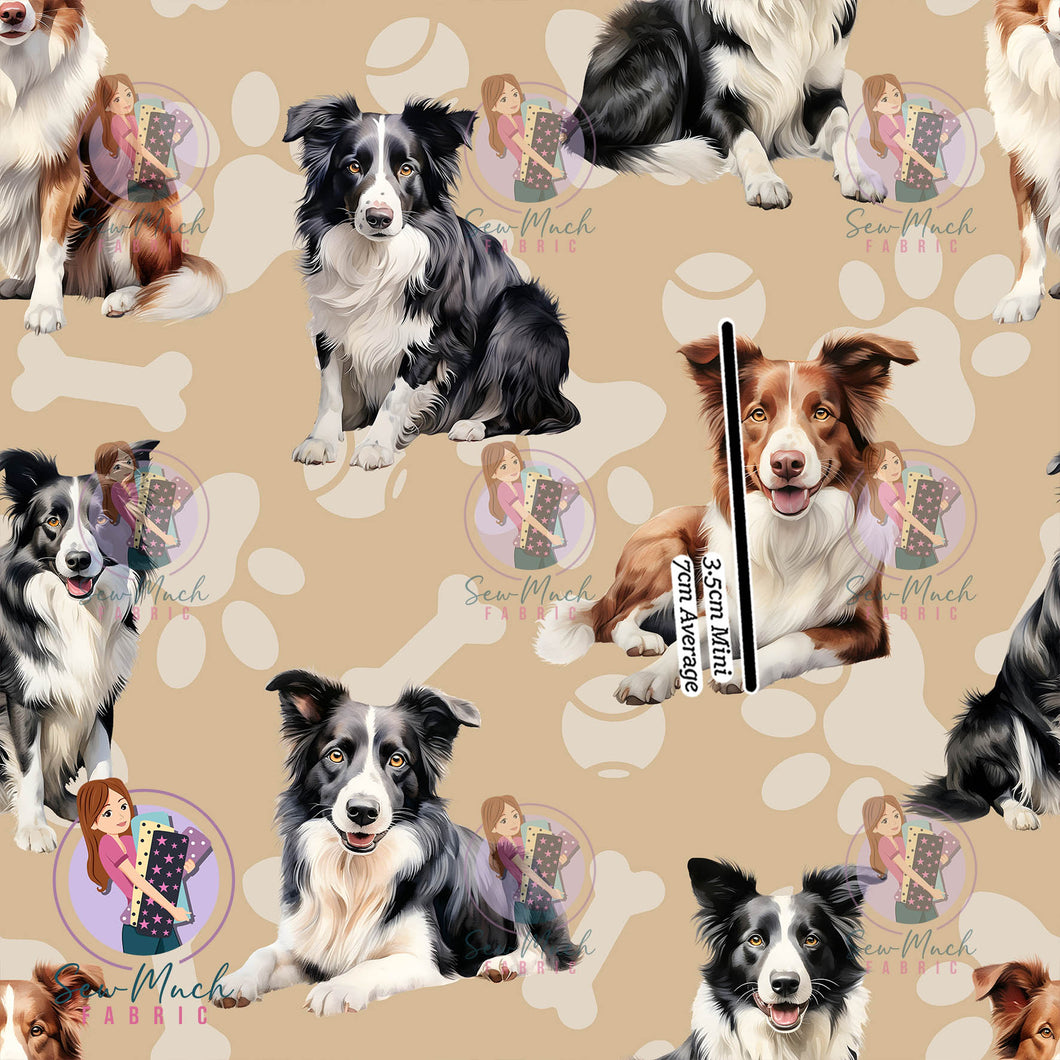 Border Collie Beige | Canvas | Retail | Average Scale