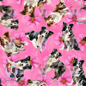 Border Collie 2 | Pre-Order |