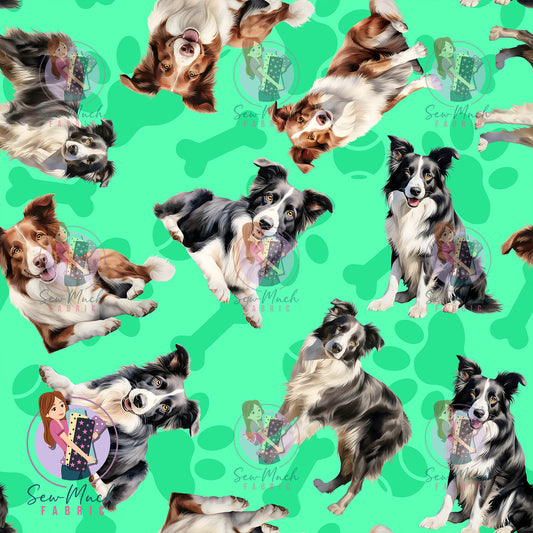 Border Collie 1 | Pre-Order |