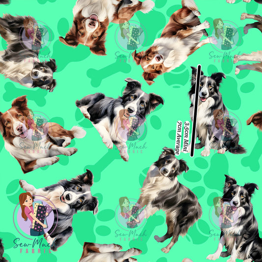 Border Collie | Woven | Retail | MINI Scale