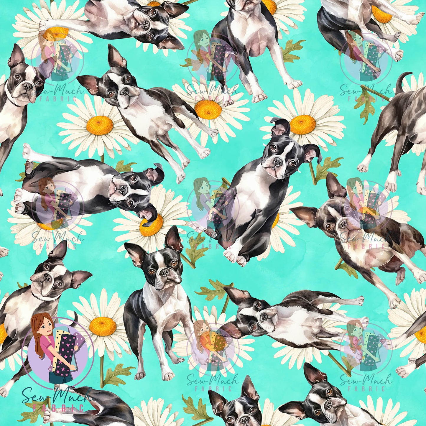 Boston Terrier 2 | Pre-Order |