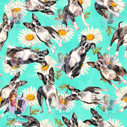 Boston Terrier 2 | Pre-Order |