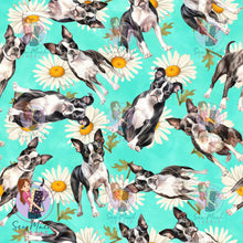 Load image into Gallery viewer, Boston Terrier 2 | Pre-Order |
