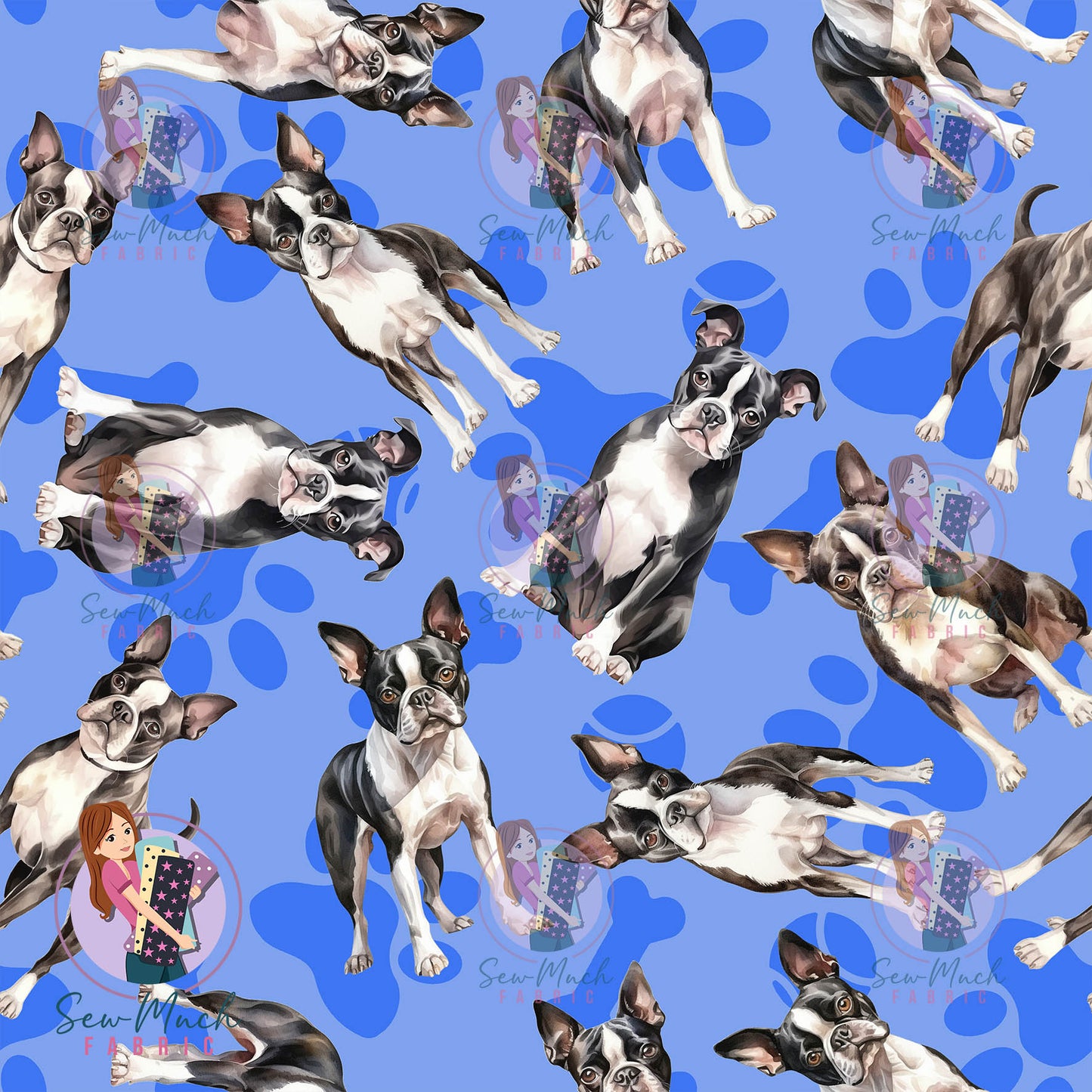 Boston Terrier 1 | Pre-Order |