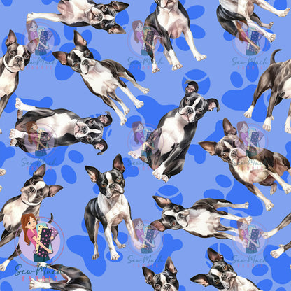 Boston Terrier 1 | Pre-Order |