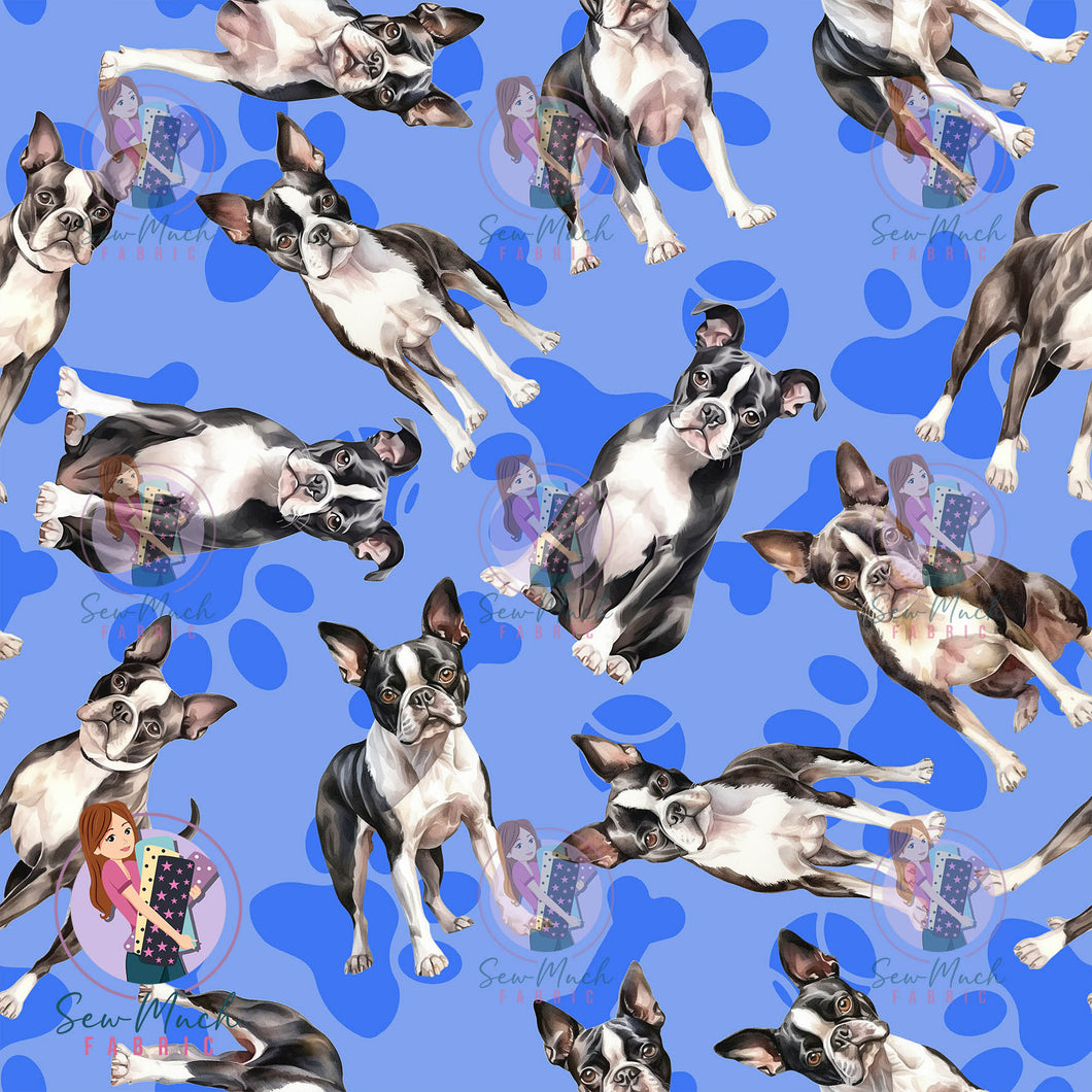 Boston Terrier 1 | Pre-Order |