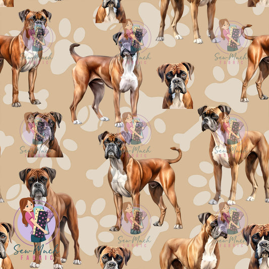 Boxer | Pre-Order |