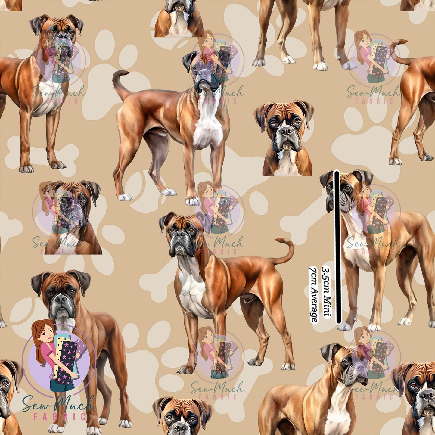Boxer | Pre-Order |
