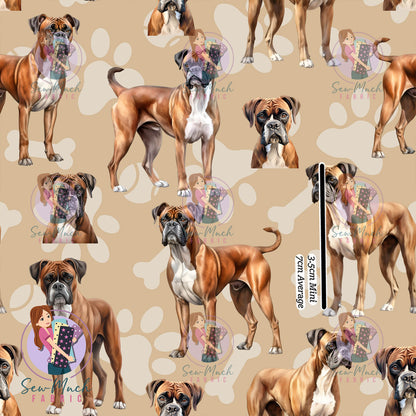Boxer | Pre-Order |