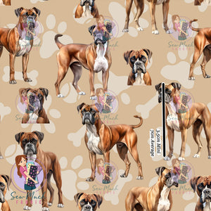 Boxer | Pre-Order |