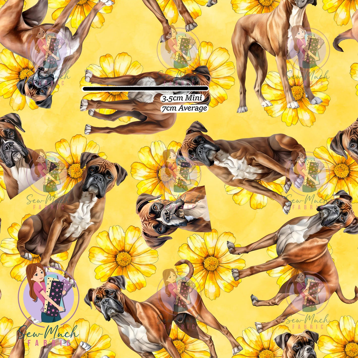 Boxer 2 | Pre-Order |