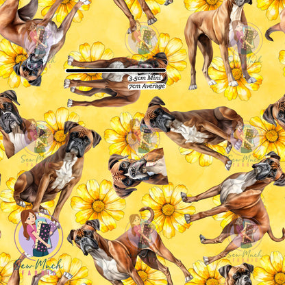 Boxer 2 | Pre-Order |