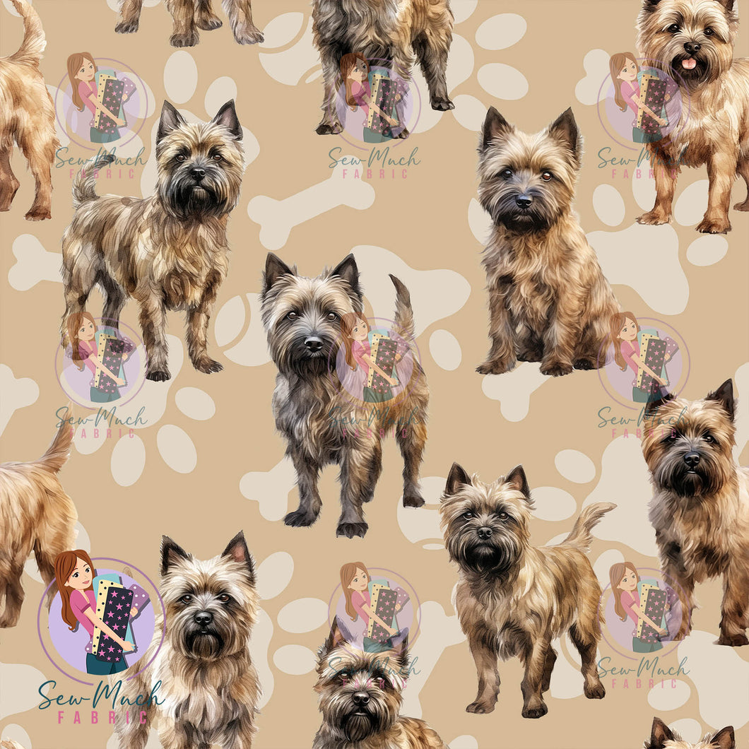 Cairn Terrier | Pre-Order |