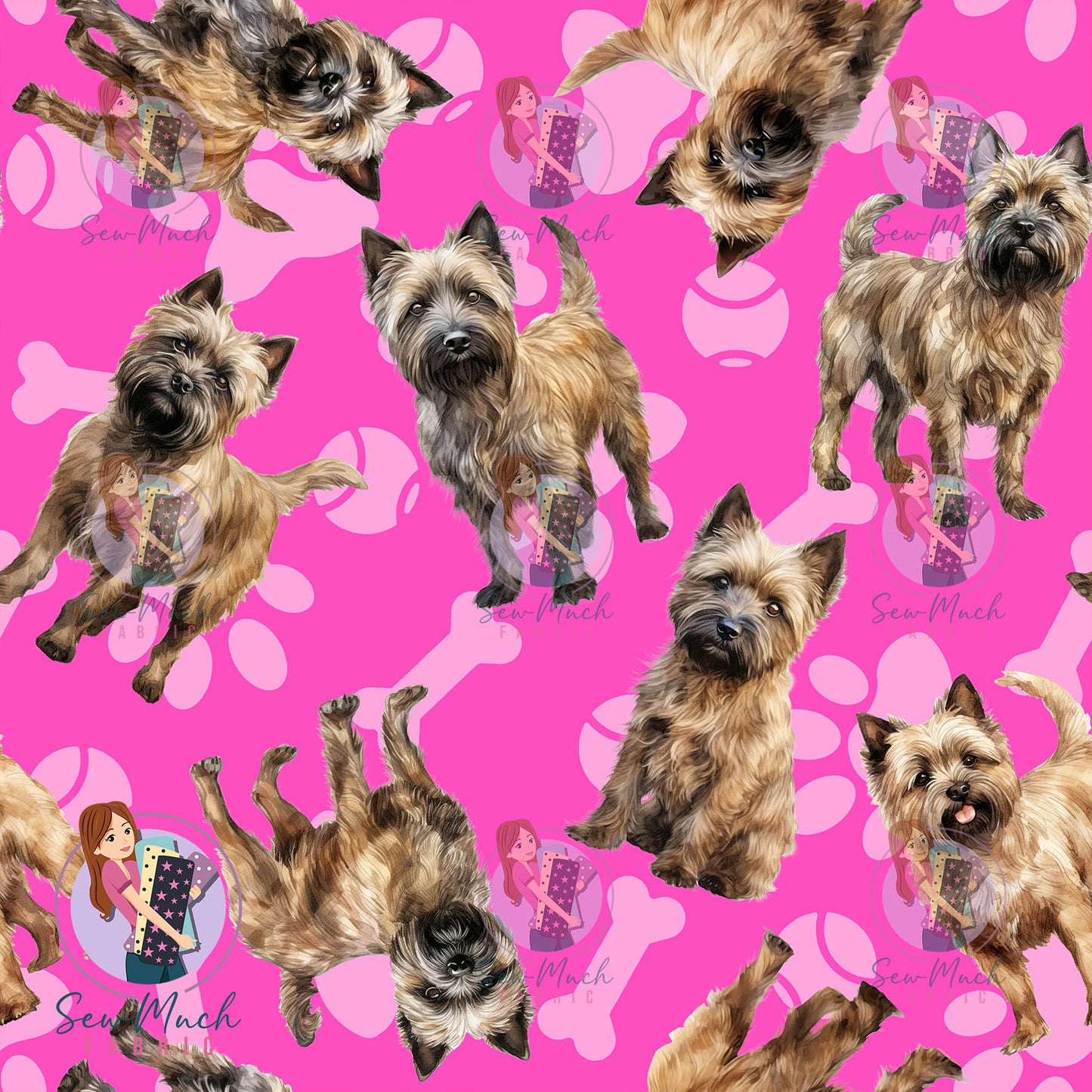 Cairn Terrier 1 | Pre-Order |