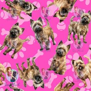 Cairn Terrier 1 | Pre-Order |