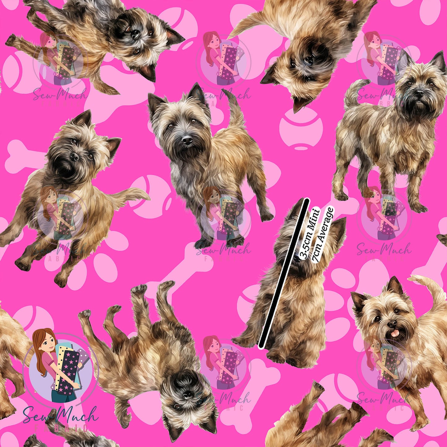 Cairn Terrier 1 | Pre-Order |