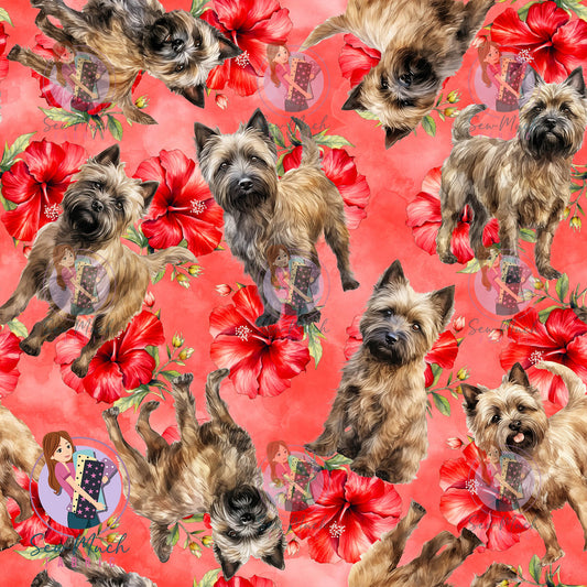 Cairn Terrier 2 | Pre-Order |