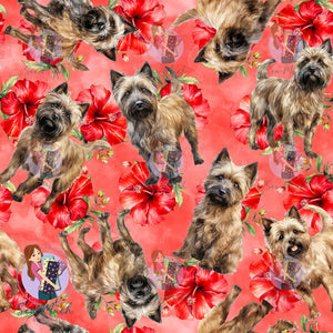 Cairn Terrier 2 | Pre-Order |