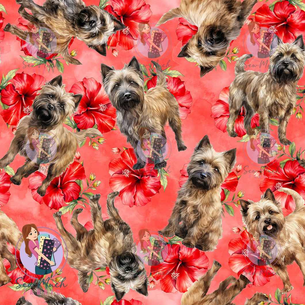 Cairn Terrier 2 | Pre-Order |