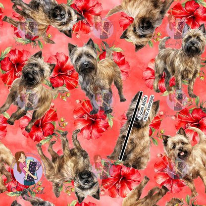 Cairn Terrier 2 | Pre-Order |