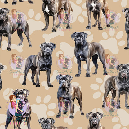 Cane Corso | Pre-Order |