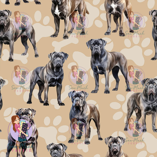 Cane Corso | Pre-Order |