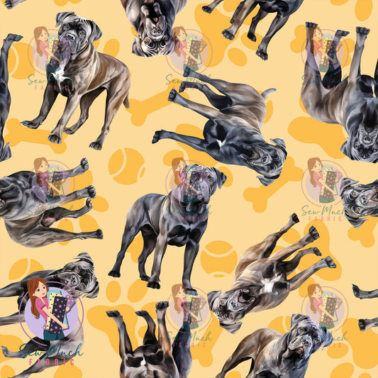 Cane Corso 1 | Pre-Order |