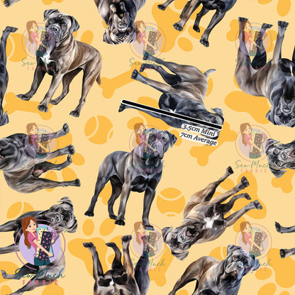 Cane Corso 1 | Pre-Order |