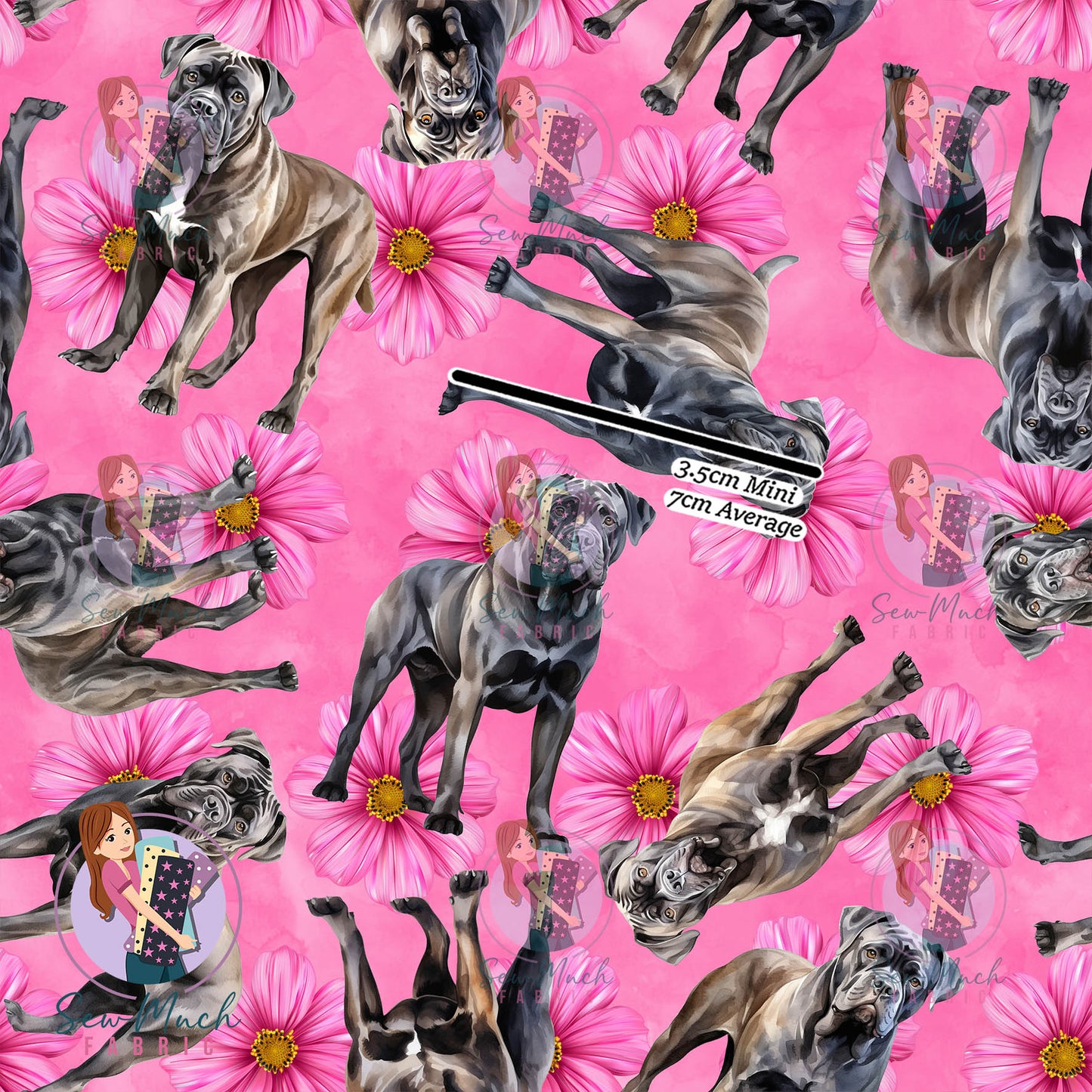 Cane Corso 2 | Pre-Order |