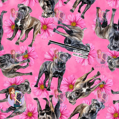Cane Corso 2 | Pre-Order |