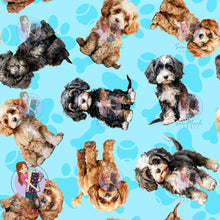 Load image into Gallery viewer, Cavoodle 1 | Pre-Order |
