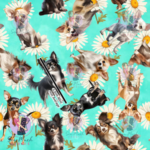 Chihuahua 2 | Pre-Order |