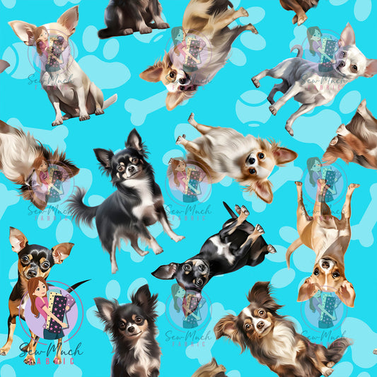 Chihuahua 1 | Pre-Order |