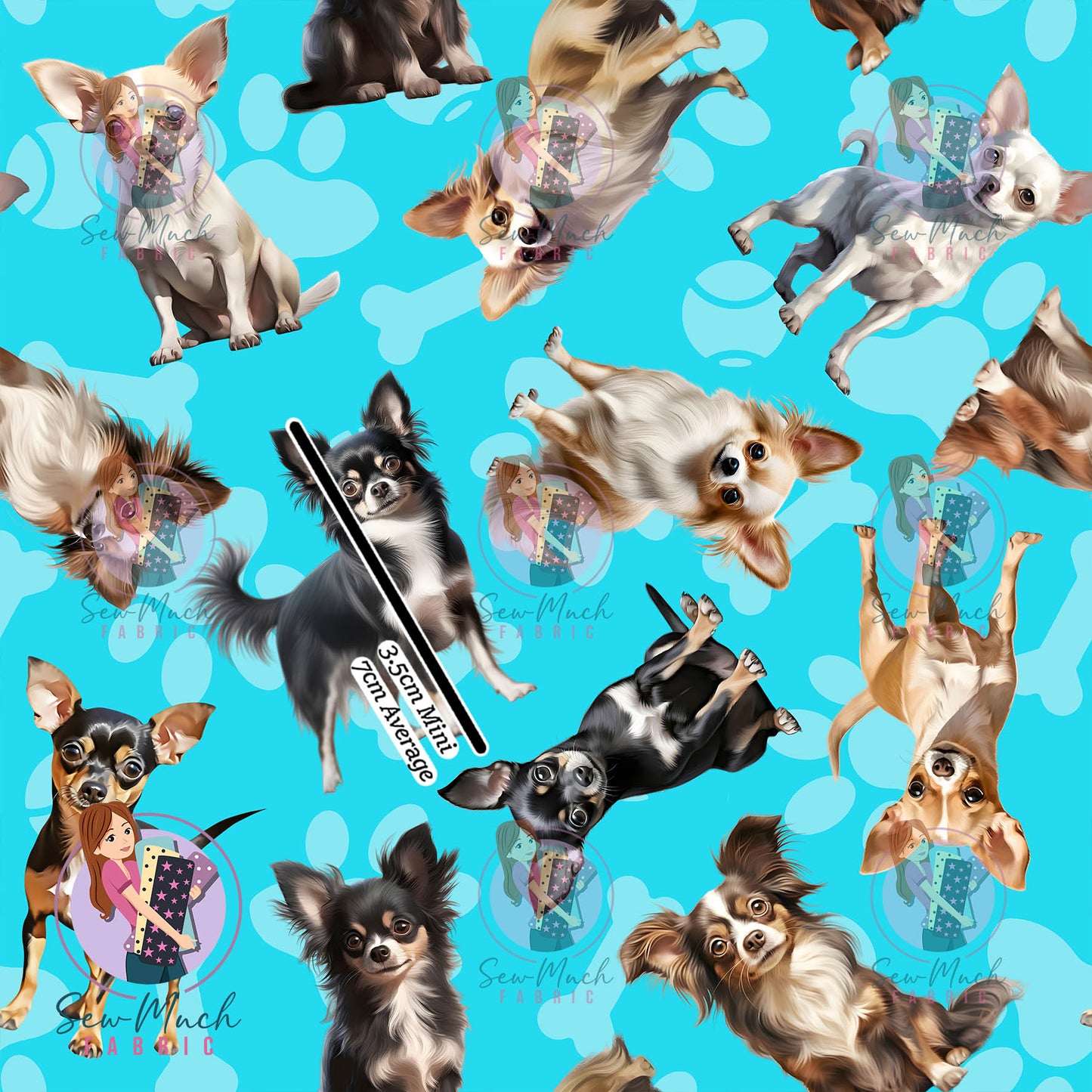 Chihuahua 1 | Pre-Order |