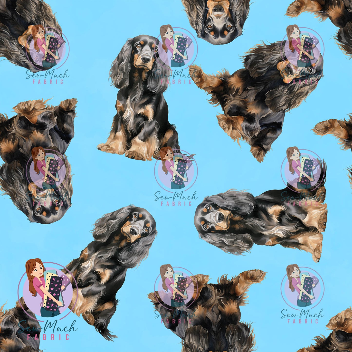 MAY Pre-Order (2): Cocker Spaniel Black & Tan Blue