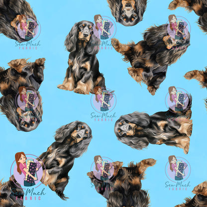 MAY Pre-Order (2): Cocker Spaniel Black & Tan Blue