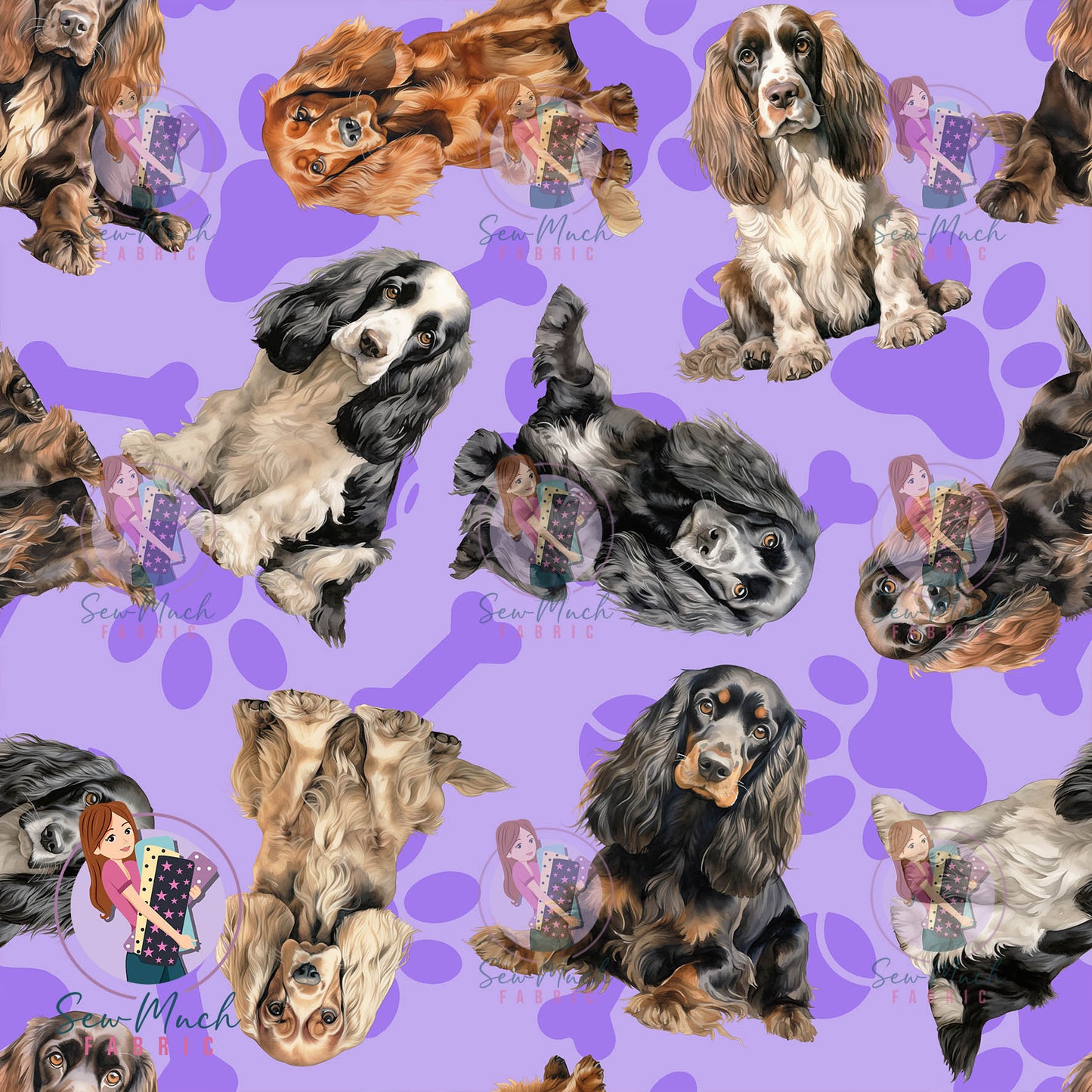 Cocker Spaniel 1 | Pre-Order |