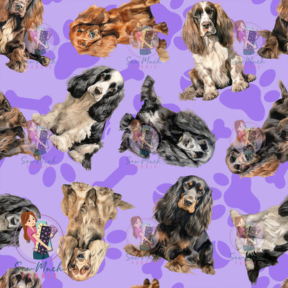 Cocker Spaniel 1 | Pre-Order |