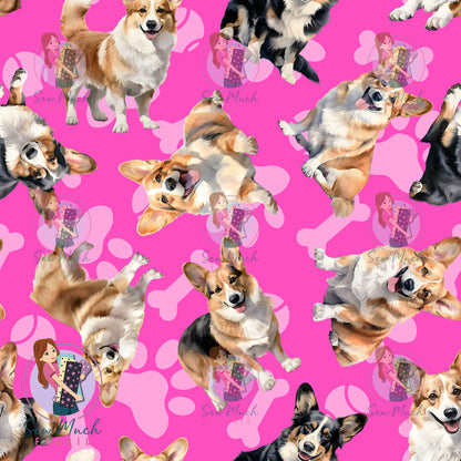 Corgi 1 | Pre-Order |