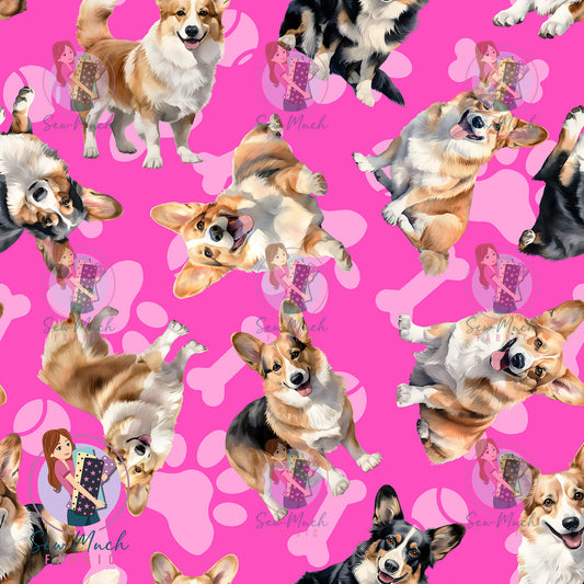 Corgi 1 | Pre-Order |