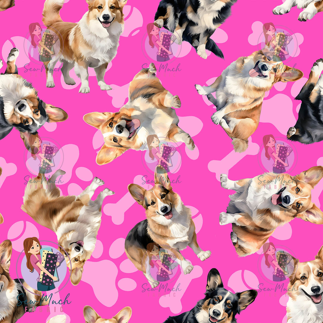 Corgi 1 | Pre-Order |