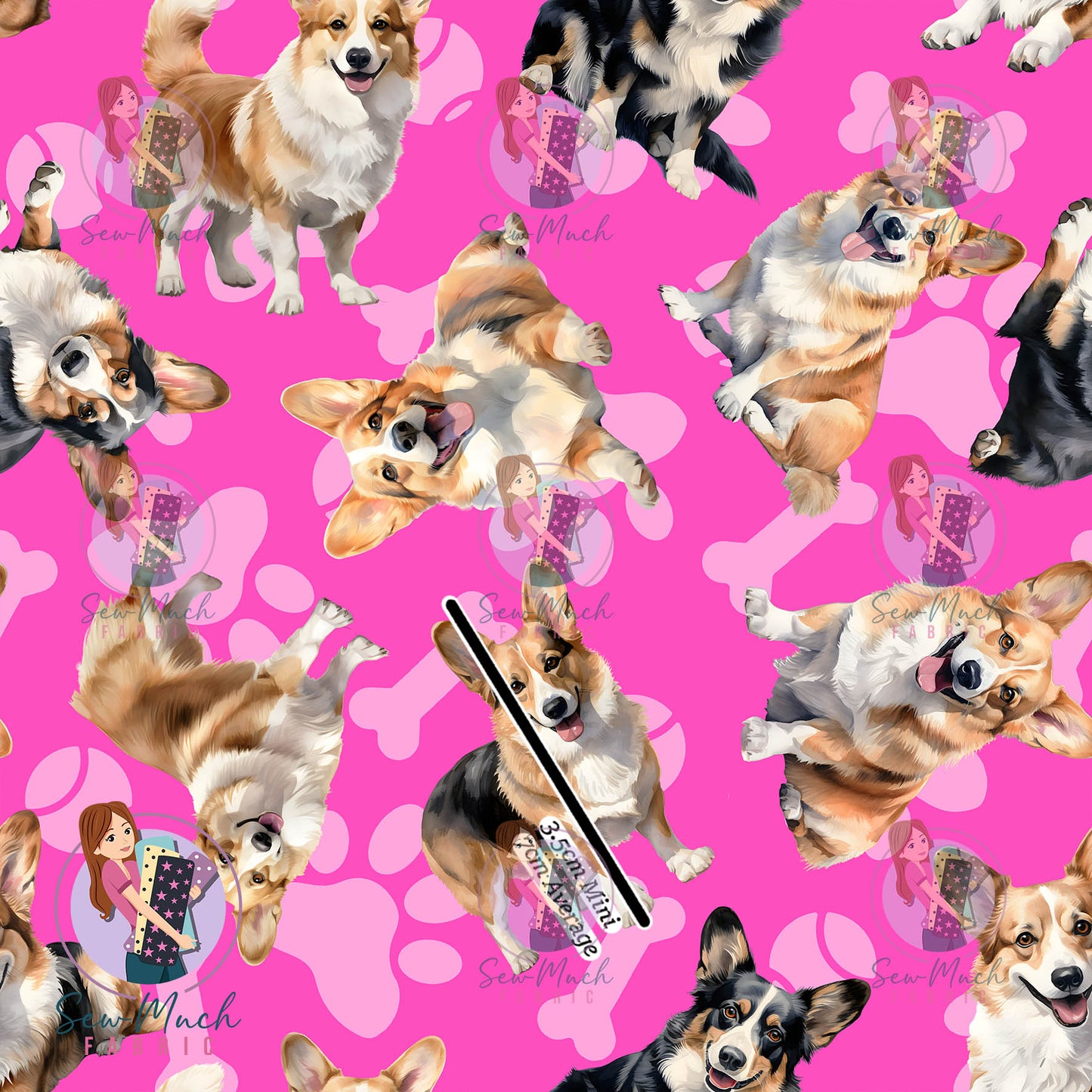 Corgi 1 | Pre-Order |