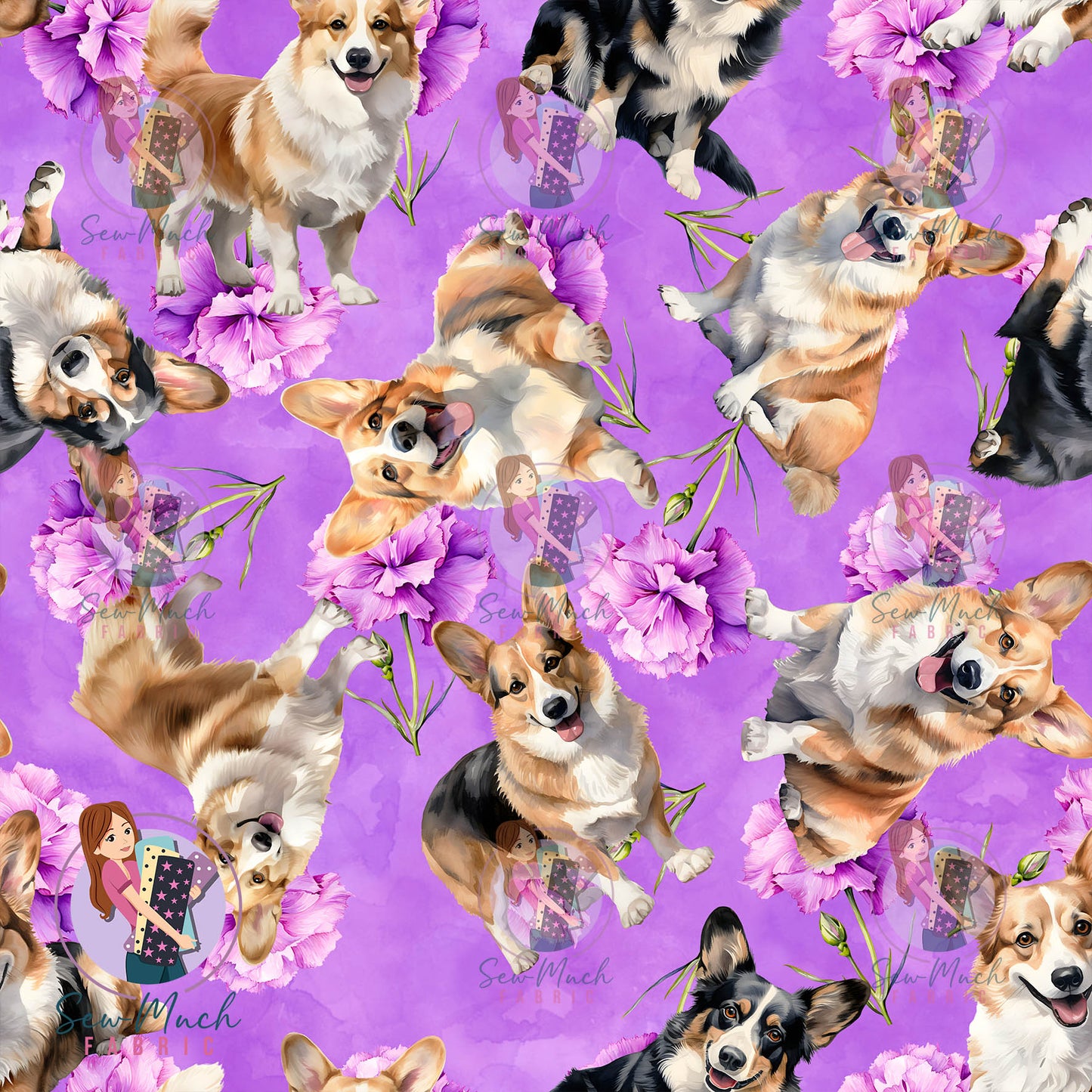 Corgi 2 | Pre-Order |