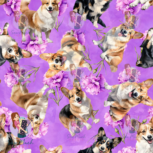 Corgi 2 | Pre-Order |