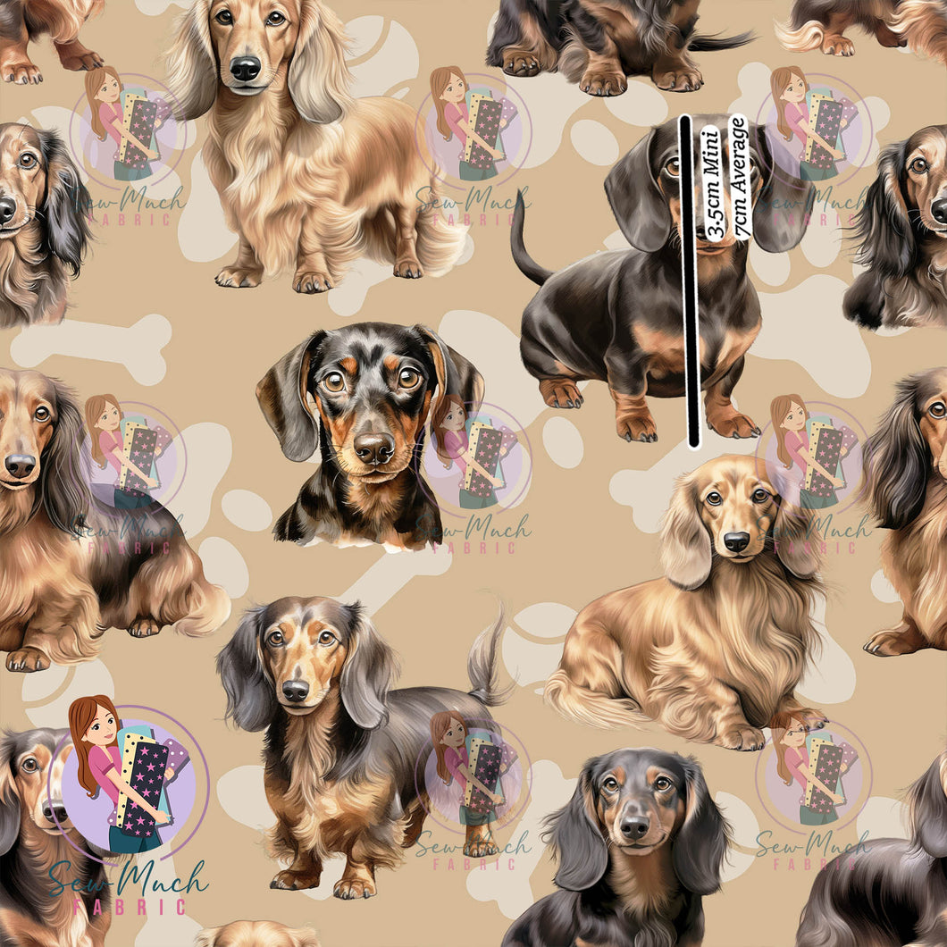 Dachshund Beige | Canvas | Retail | MINI Scale