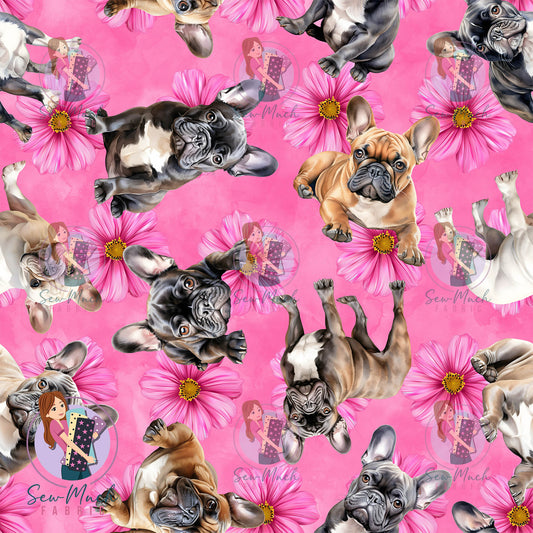 French Bulldog 2 | Pre-Order |