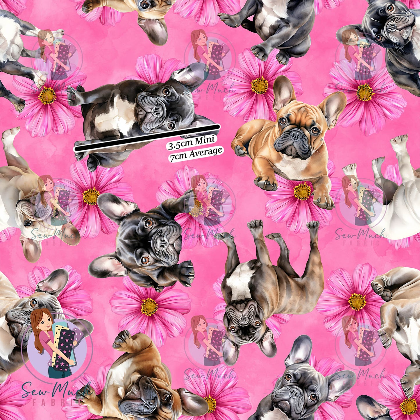 French Bulldog Pink | Canvas | Retail | Average Scale