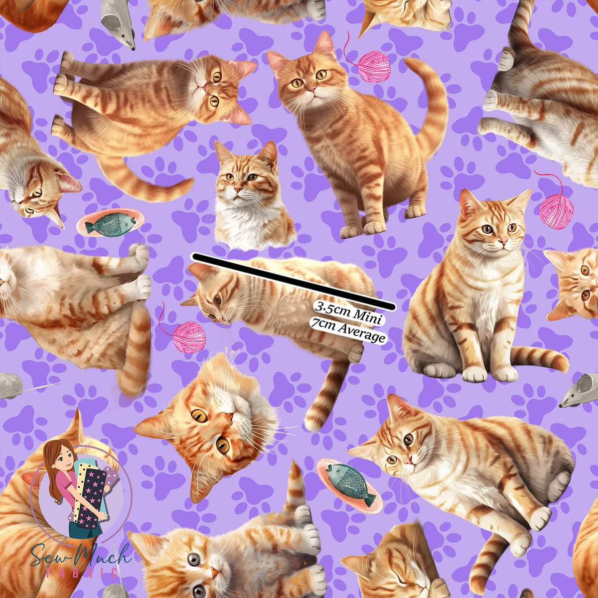 Ginger Cat Purple | Canvas | Retail | Average Scale