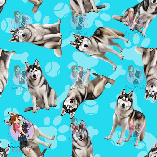 Husky 1 | Pre-Order |
