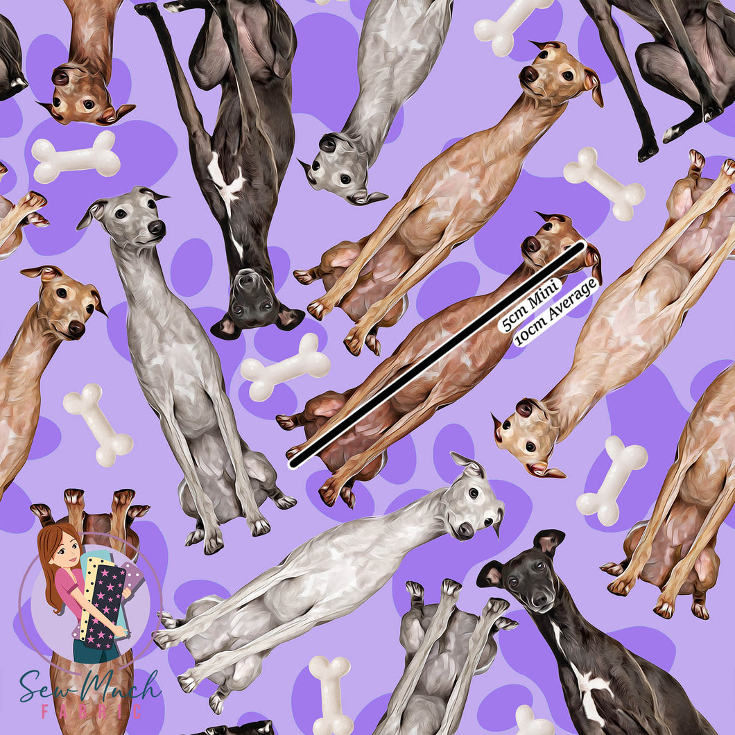 Italian Greyhound | Woven | Retail | Average Scale